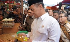 Minyak Goreng Tak Boleh Langka dan Mahal, Indonesia Produsen Utama Sawit Dunia