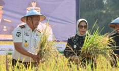 Beras Rutan, Mimpi Jakarta