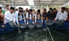 Program MBG Wajib Borong Bahan Pangan dari Desa